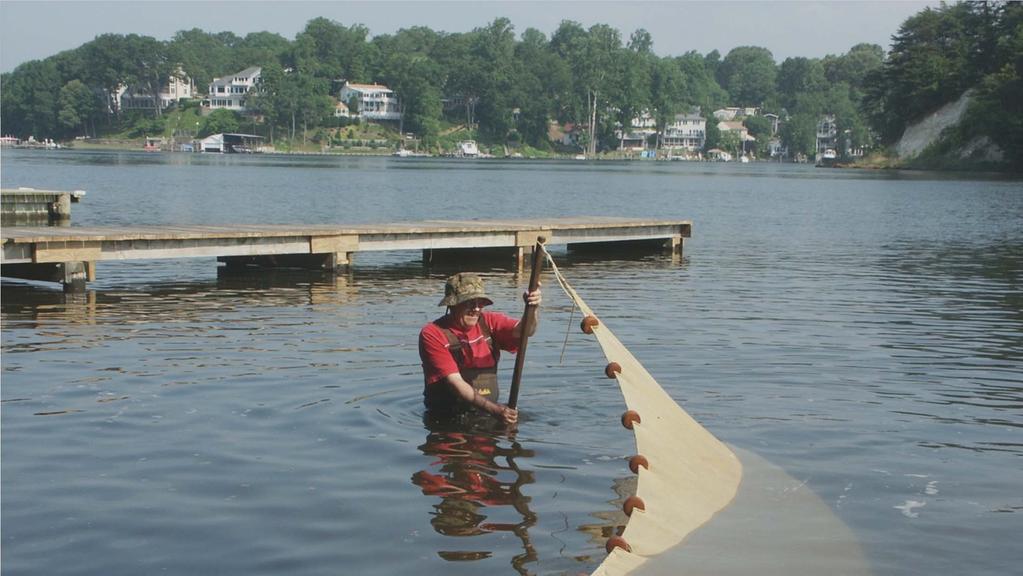 Maryland Fisheries Service has been looking at development