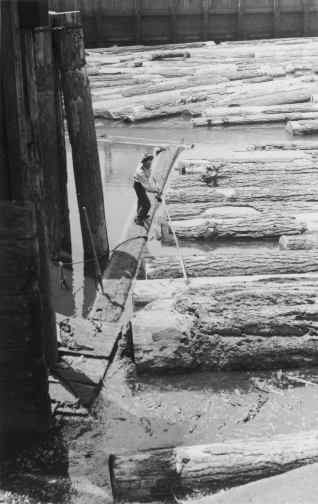 Mill B Gallery 02 A boom man positions logs to go up the logway to start their journey
