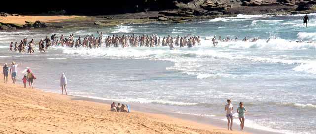 Avalon Beach SLSC member Volker Klemm explained: We found a great interest when we introduced our Around-the-bends swim from Newport to Avalon in April, 2018. This is a true open water challenge of 2.