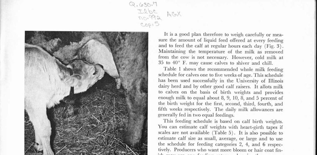 \" \J Newborn calves need colostrum. Some calves may need help to nurse the first time. (Fig. 2) ~CJ' ~ t-?