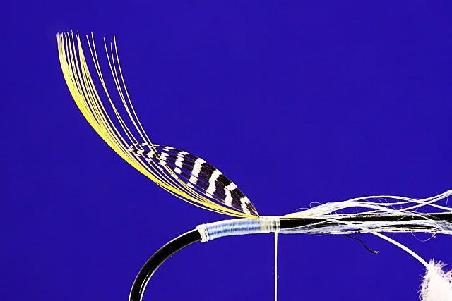 Select a crest feather for the tail. Secure the crest feather in with two firm securing wraps.