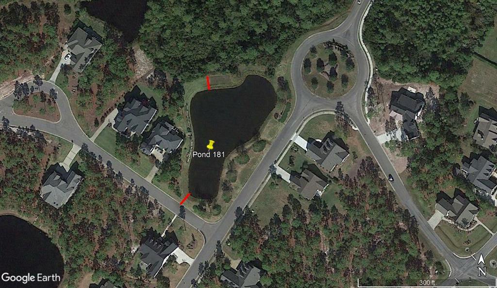 POND 181: WOODLANDS CIRCLE DIRECTIONS: Going south on Pine Forest Drive thru the traffic circle the pond is on the right between Morningdale Drive and Oak Forest Drive.
