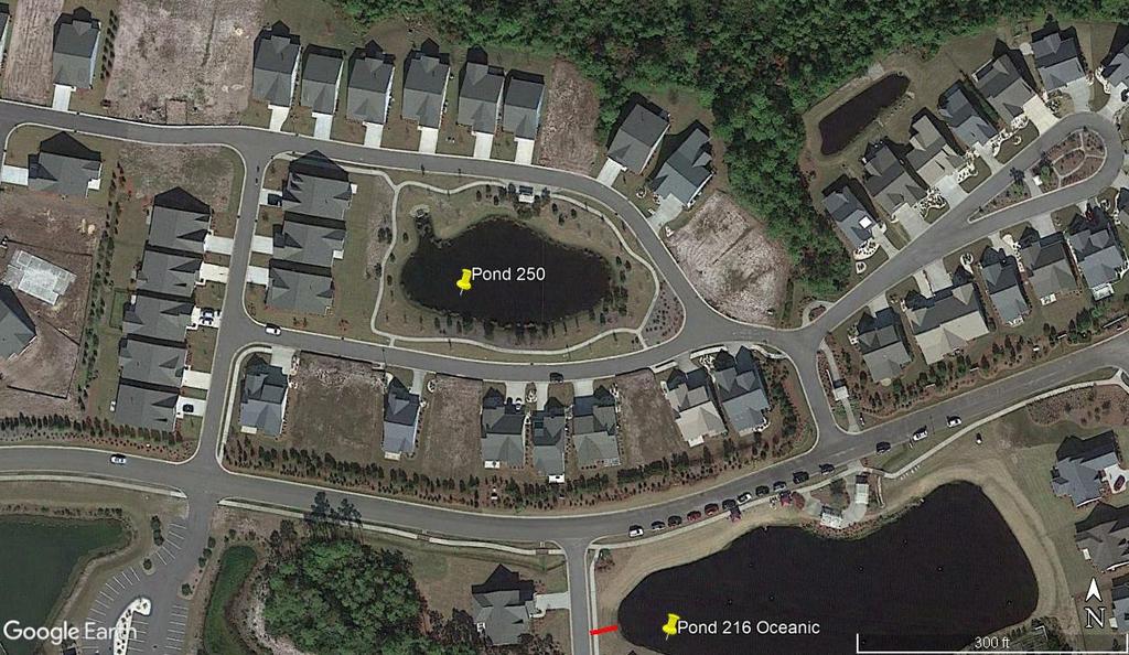 POND 250: SANDY COVE POND DIRECTIONS: Going East on Oceanic Drive the pond is accessed from Drift Tide Way or Sandy Cove Lane. POA-DESIGNATED ACCESS: Fishing is permitted on the whole pond.
