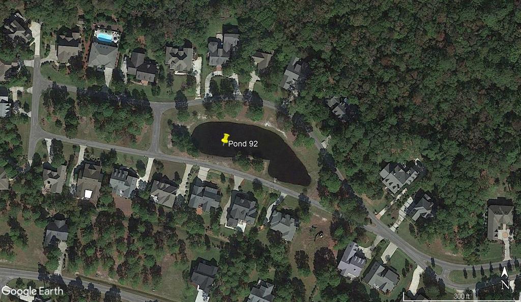 POND 92: LOBLOLLY CIRCLE POND DIRECTIONS: Going South on Saint James Drive after the Polly Gulley Bridge turn right on Trailwood Drive then turn first right on Loblolly Circle.