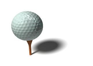 25 OTHER SPORTING OPPORTUNITIES GOLF Waiuku College has a golf team which is led by Mr Todd Malcolm. Details will be posted on Waiuku College sport noticeboard.