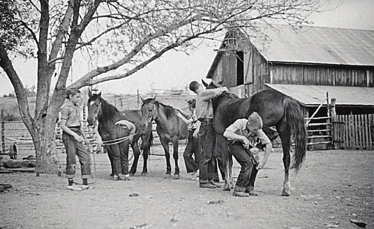 Since the 1930s, Orme School has made horses a big part of the curriculum. Students learn to care for them from the ground up. 10 years at a dude ranch in Michigan.