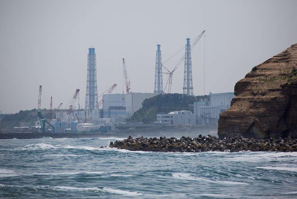 The tsunami hit the Daaitchi nuclear plant, seen here from Futaba beach. The catastrophe was rated level 7, the equivalent of Chernobyl.