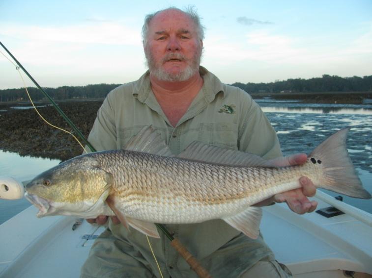 Success Stories Here s our buddy Stephen with a gorgeous redfish he caught recently at low tide near some Jacksonville oyster bars.