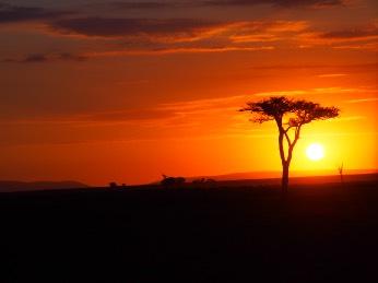 presidents stay. It is one of the best campsites in the Masai Mara.