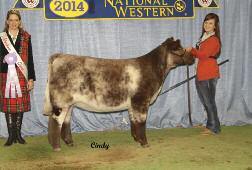 28 DLF LORA #4 ET x44263 Bred Female Polled RWM 6/15/29 9RV4 4D DOUBLE VISION SHERWOODS RED VISION 576M ET DSF QUEENS TRUMP 99TH STONE SPRINGS FIRECRACKER DLF LORA 5F3 ET HUBERDALE PM LORA 2B Bred to