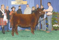 4 67 86 14 48-6 27 -.8 -.2-3.19 93.23 57.49 complete and takes after her $35,5 selling dam to Sullivan Farms.
