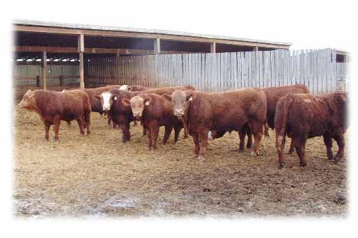 Canadian Angus Association EPD Explanation EXPECTED PROGENY DIFFERENCES (EPDS) Statistics generated for individual cattle through national genetic evaluations.