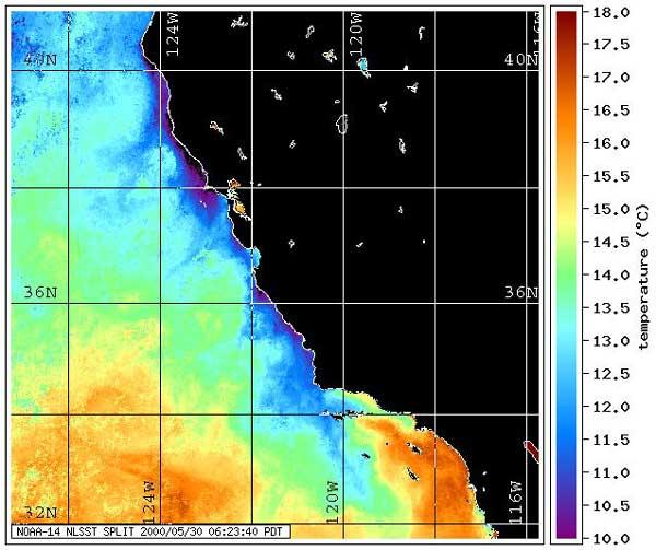 Sea Surface Temperature Upwelling off California