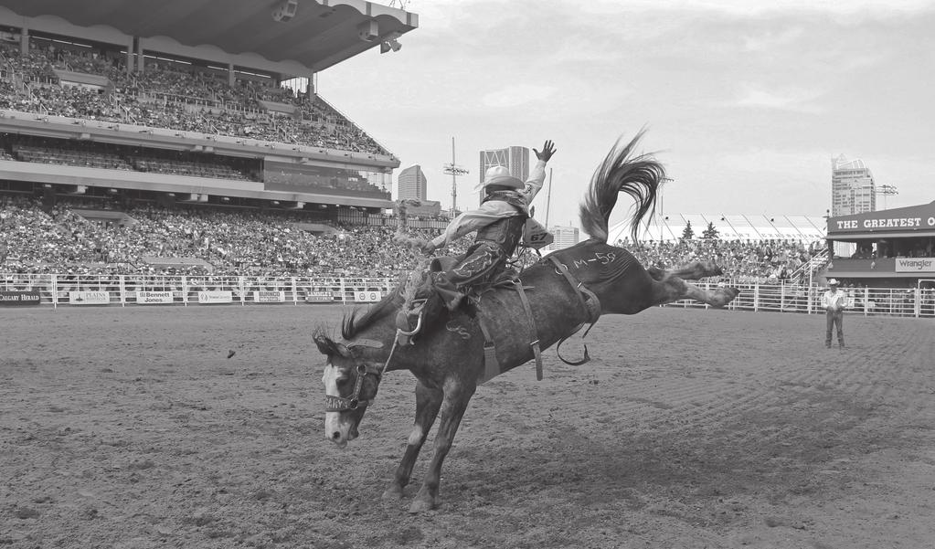 RODEO AND EVENING SHOW SOUVENIR PROGRAMS The Calgary Stampede s two souvenir programs are premiere publications