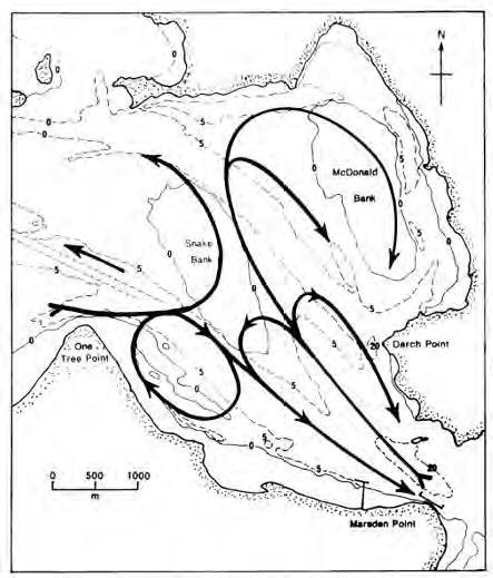 Figure 6. Reproduction of Figure 4-19 volume 3 part 10. Schematic diagram showing sediment transport pathways within Whangarei Harbour based on residual velocities (Source: Black et al., 1989). 33.