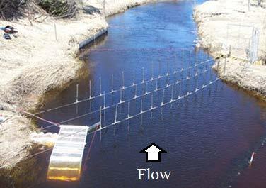 Electrical Barriers Electrical energy applied to water is transferred to fish as a deterrent to movement, which can lead to taxis (forced swimming), immobilization, and possibly trauma The combined
