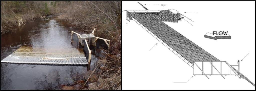Weirs and Screens Structures that utilize weir panels or mesh screens to block sea lamprey while still passing
