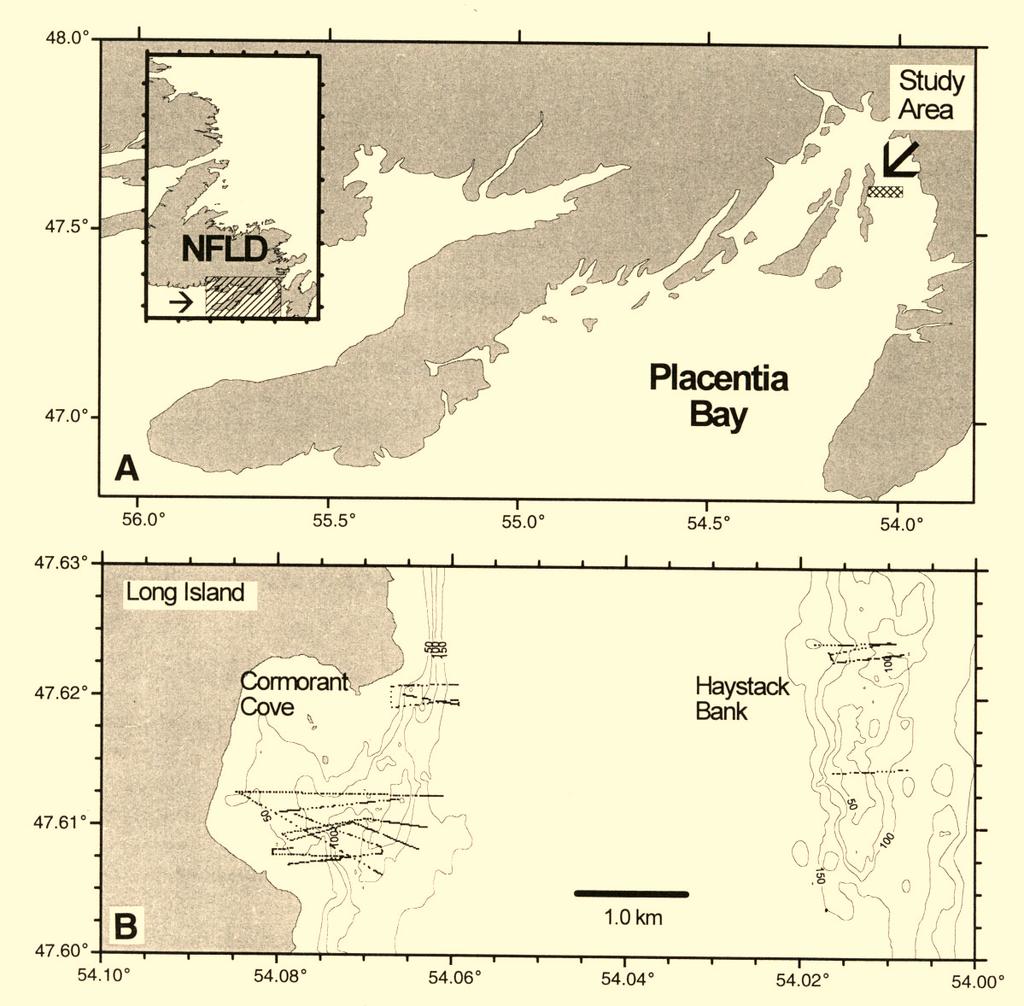 GREGORY et al: Distributon of Juvenile Atlantic Cod 5 Fig. 1. (A) study area and (B) submersible dive tracks, in Placentia Bay Newfoundland, 21 25 April 1995 (bathymetry in m). minute increment.