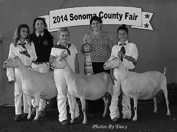 DEPARTMENT #53 YOUTH DAIRY GOATS YOUTH DAIRY GOATS #53 Entries Close: Saturday, June 13, 5:00 p.m.