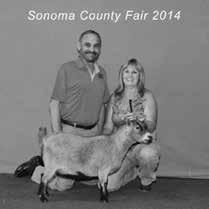 DEPARTMENT #33 OPEN PYGMY GOATS OPEN PYGMY GOATS #33 Cash Awards Offered by the Sonoma County Fair $3,325.