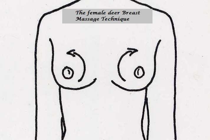 Here are some cutting edge techniques of breast massage that produces result. #1 The Female Deer Breast Massage Technique.