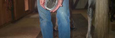 Afterwards, it s a good practice to ask your farrier what areas of your horse s behavior need work. Losing shoes is always a problem in Endurance.