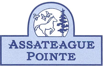 1 Assateague Pointe Homeowners Association Issue 3-2009 Assateague Pointe August Newsletter A SPECIAL WELCOME August 18, 2009 UPCOMING EVENTS SEPT. 8-Road Paving to begin SEPT.