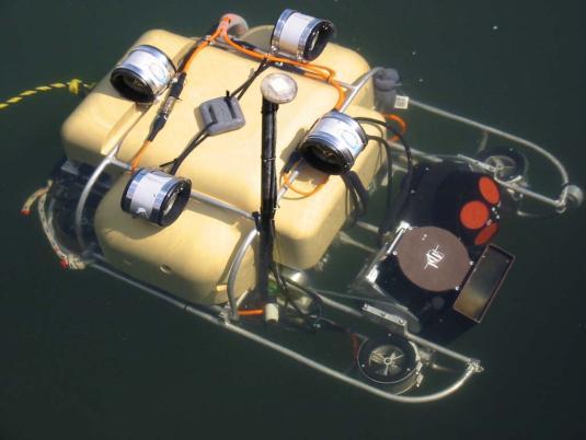 Flapping foil AUV