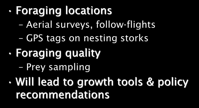 follow-flights GPS tags on nesting storks Foraging