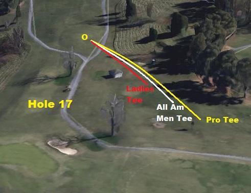 Hole 17 features multiple tees that should allow each skill level to throw the same type shot to the green.
