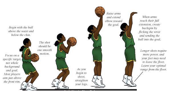 Basketball Player Handout