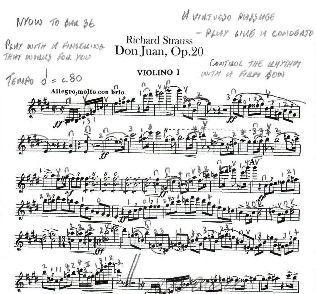 Orchestral Set Excerpt: Richard Straus, Don Juan, Op.