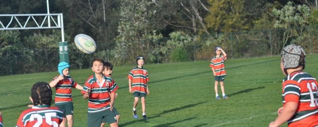 Primary Rugby Congratulations to our Year 3 and 4 rugby boys who last week played a very entertaining game of rugby on the school oval.