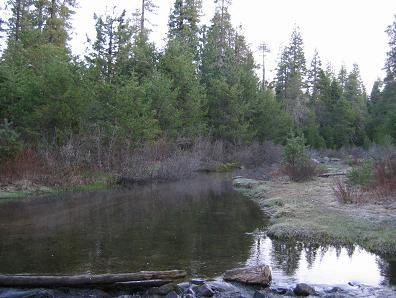 Figure I3.1-2. Shallow shelf upstream of IH-2. Figure I3.1-3. South Fork Silver Creek immediately downstream of IH-2 sampling site.