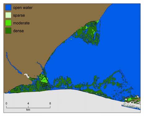 Long Point Water Level Effects on Wetlands