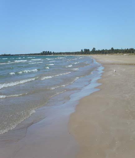 sandy beaches at places like Sandbanks and Presqu