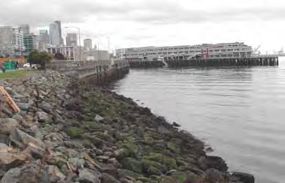 The Olympic Sculpture Park created a pocket beach where rip rap had once been. The newly created habitat provides a gentle sloping shoreline.