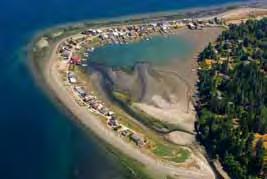 Pocket Estuary: A pocket estuary is a term used in the Puget Sound region to describe small estuaries and