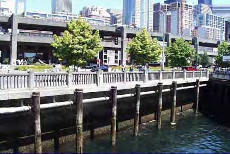 Rip rap along the Elliott Bay seawall Puget Sound, Seattle waterfront Salmon Migratory Route: A salmon migratory route is a route juvenile salmon take along the shoreline in their migration from