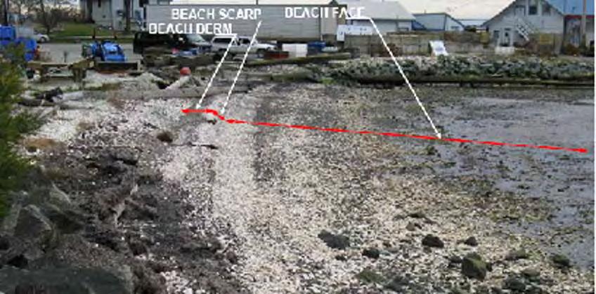 Beach Berm: A beach berm is a nearly horizontal portion of the beach or backshore formed by deposition of sand or gravel by wave action, typically forming above high water.