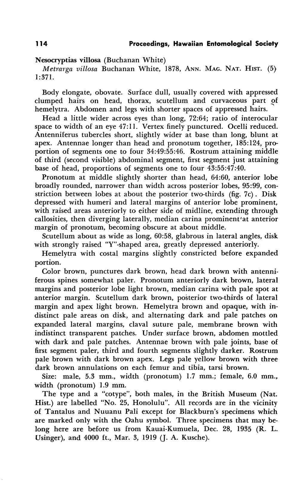 114 Proceedings, Hawaiian Entomological Society Nesocryptias villosa (Buchanan White) Metrarga villosa Buchanan White, 1878, Ann. Mag. Nat. Hist. (5) 1:371. Body elongate, obovate.