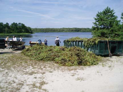 Habitat Management, Protection and Restoration Habitat Management, Protection and Restoration Region 1 Peconic River Invasive Species Control The Region 1 Fisheries Unit worked with the Peconic