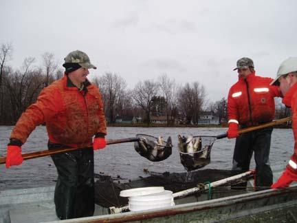 Fish Culture nating lake water, muskie culture could continue with heated well water.