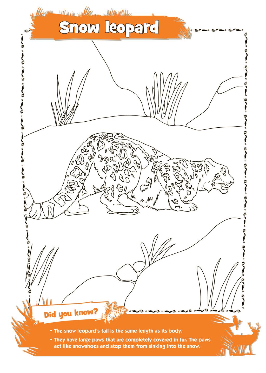 For more colouring activities, check out