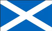 Enrichment Page St Andrew s Day Year 4 We found out that St Andrew's flag is the flag of Scotland Alex Ball To introduce