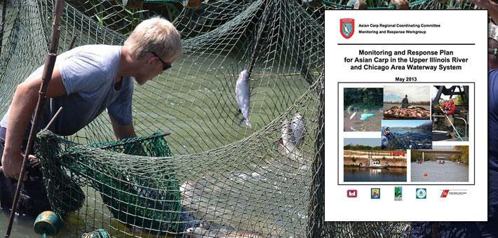 Additional emphasis currently on detection of small/juvenile fish (where are the carp