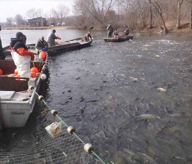 catch is game fish; non-target fish returned to water) GOOD NEWS: