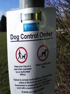 Community Enhancement Dog Fouling and dog control are key concerns for residents We Have: added 5 extra bins reinforced