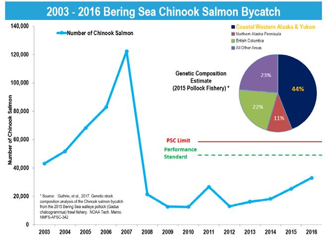 Nearly all salmon taken as bycatch are Chinook salmon and chum salmon.