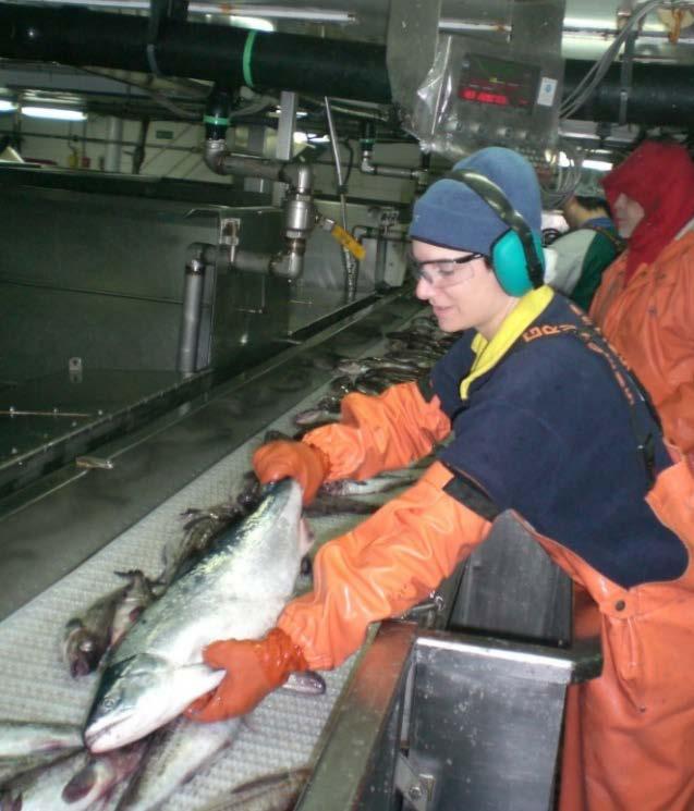 In 2011, Amendment 91 established two Chinook salmon PSC limits for the pollock fishery 60,000 (total) and 47,591 (performance standard) Chinook salmon.